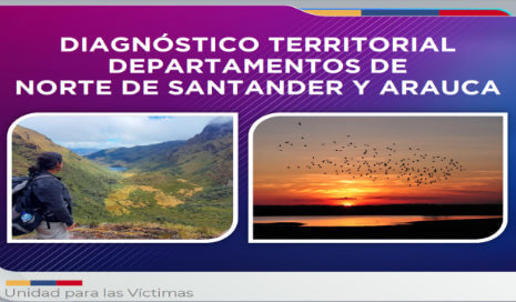 Diagnóstico territorial departamentos de Norte de Santander y Arauca