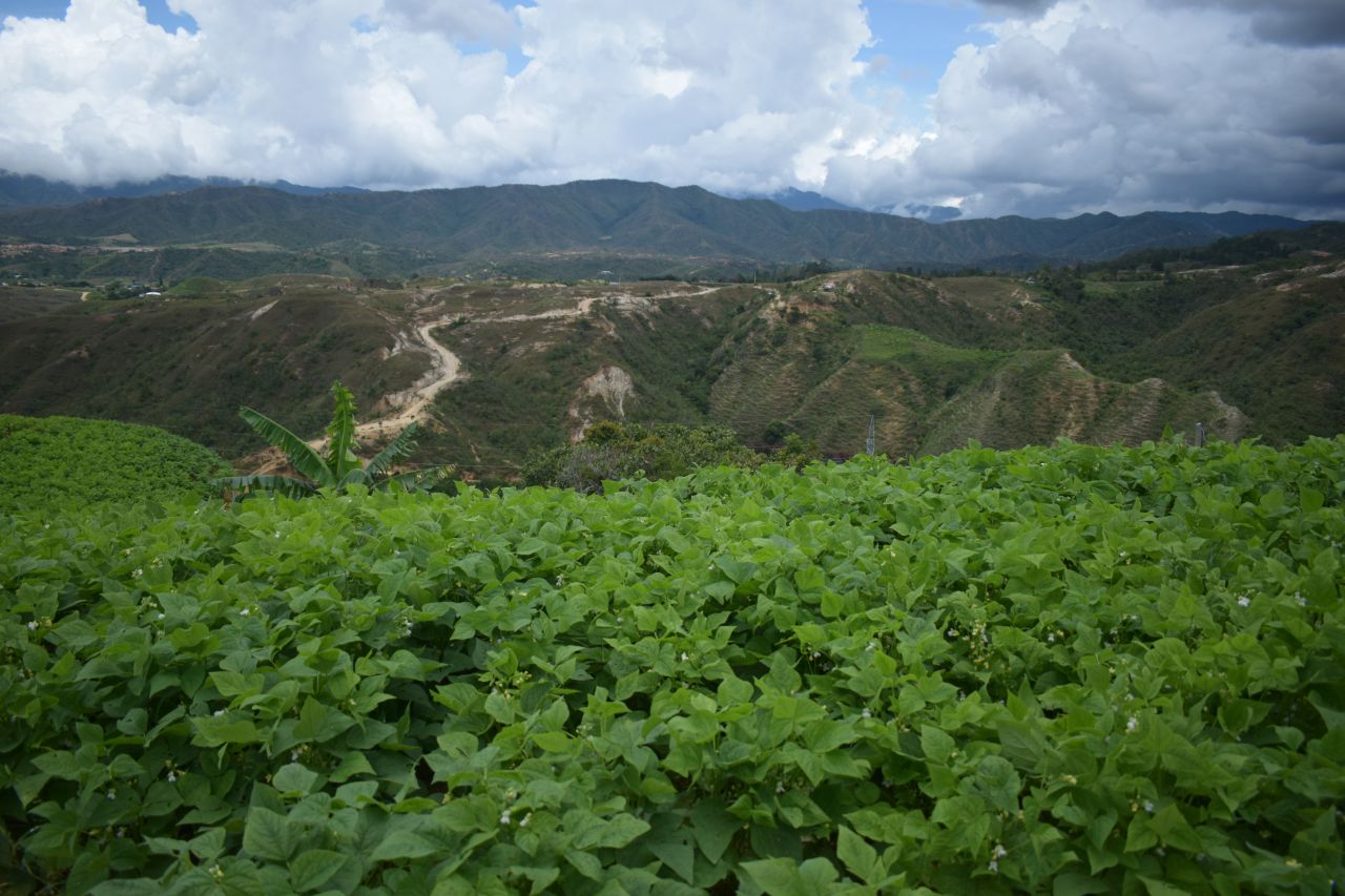 Fortalecimiento productivo para ASPIJAC