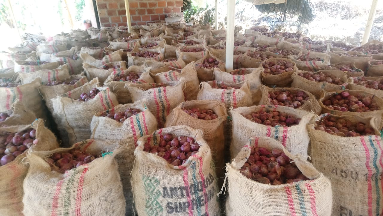 ASOMUNICIPIOS y FEDEPROCAP solicitan al Gobierno Nacional hacer control efectivo al contrabando de cebolla roja del Perú y Ecuador