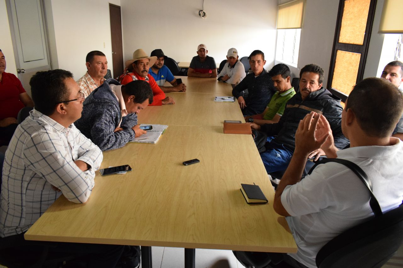 Por lo menos 30 mil toneladas de cebolla se encuentra estancadas en la región﻿