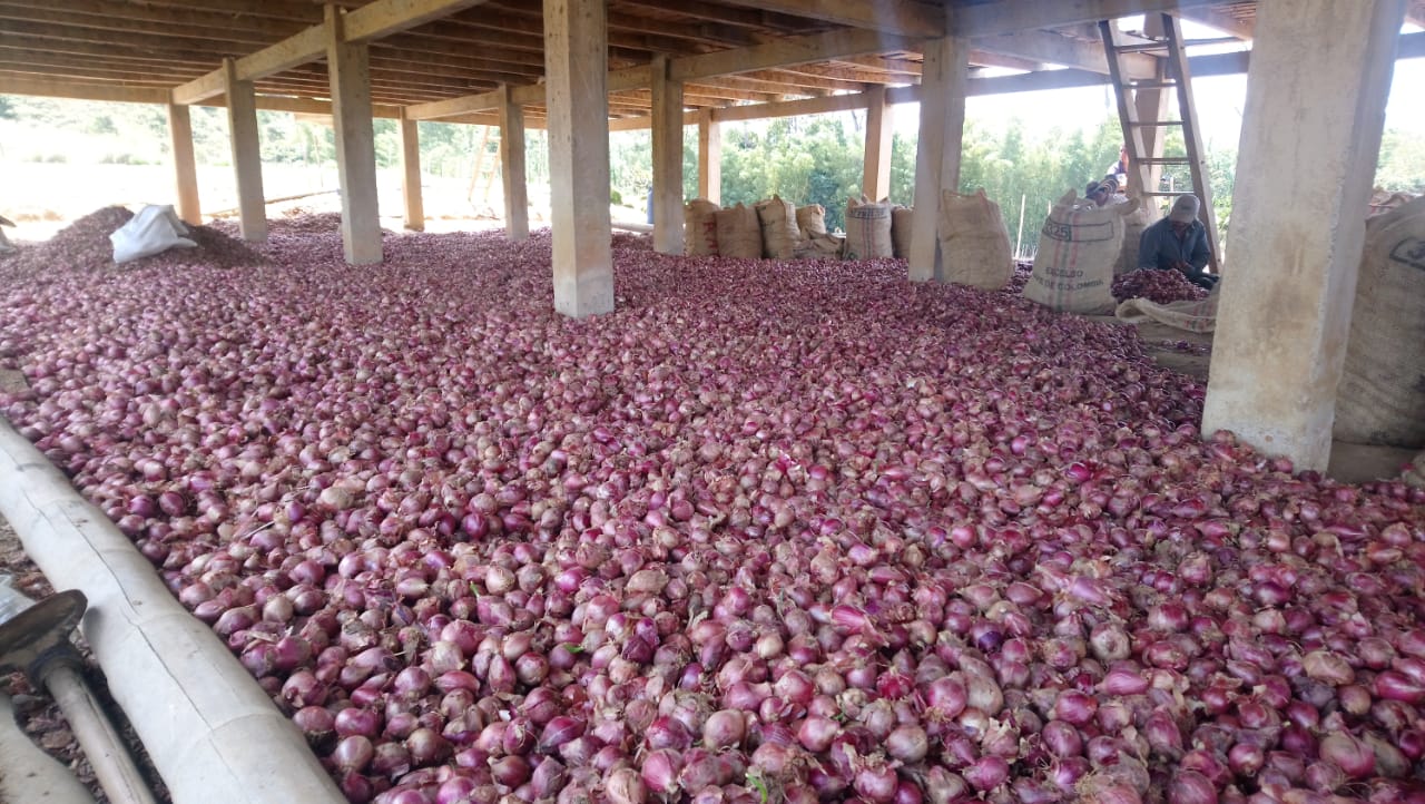 Cuantiosas pérdidas para los campesinos de la región del Catatumbo