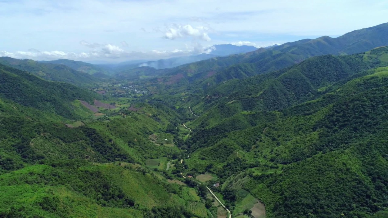 Reactivación Económica y producción agropecuaria