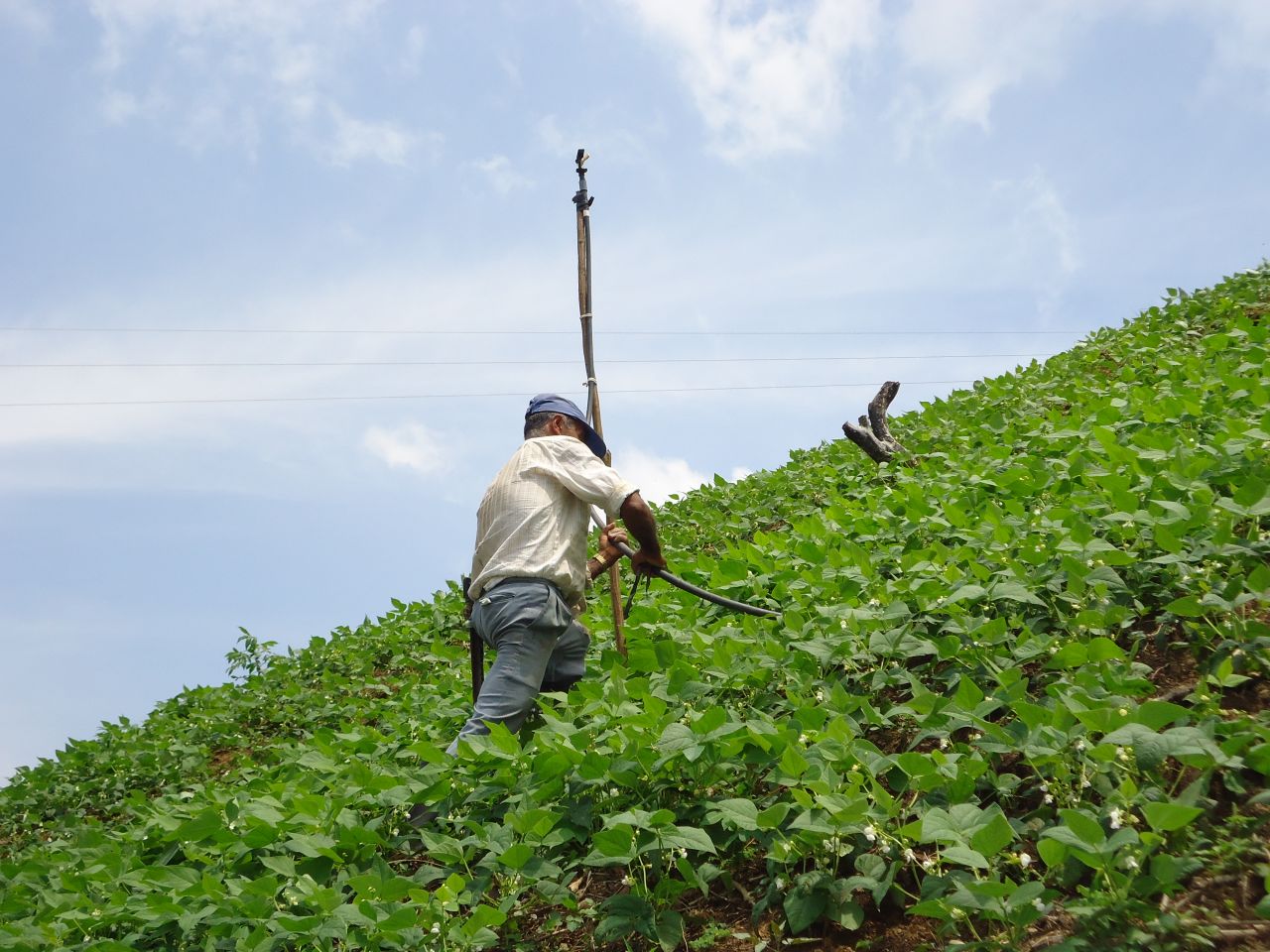 ASOMUNICIPIOS y FINAGRO, le siguen apostando a la reactivación económica y el desarrollo rural en la región