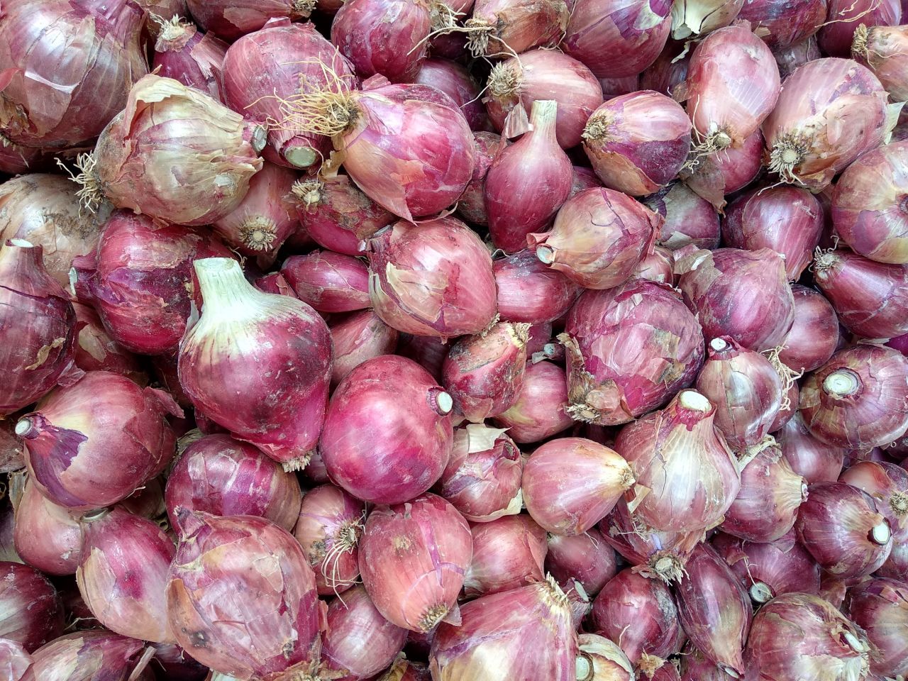Mesa anticontrabando busca analizar la problemática de los productores de cebolla en la región