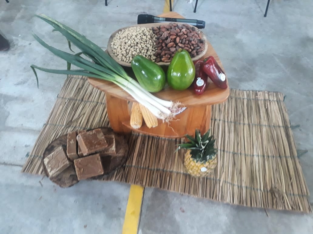 Mesa Técnica “Catatumbo Región de Oportunidades”