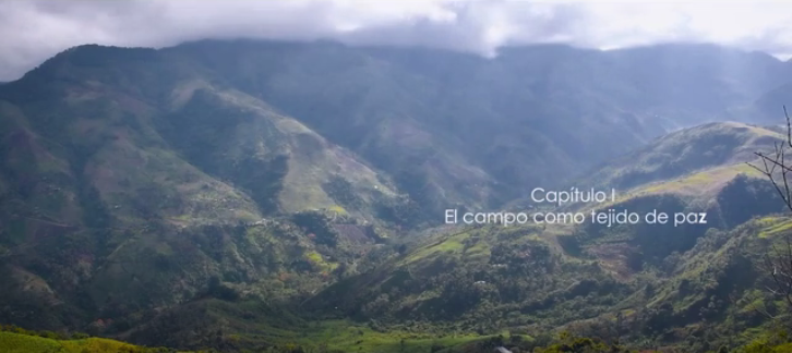 El campo como tejido de paz