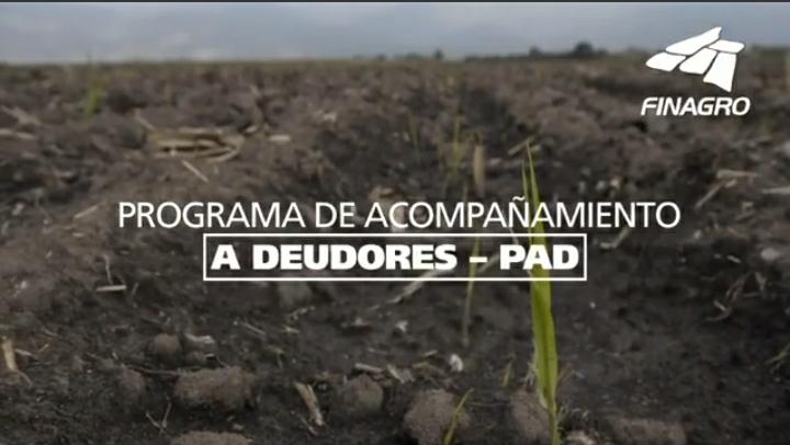 PROGRAMA DE ACOMPAÑAMIENTO A DEUDORES – PAD