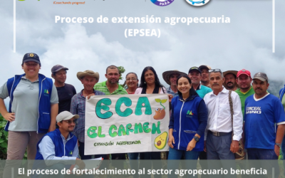EPSEA – El Carmen