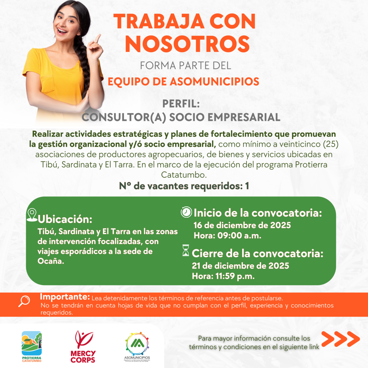 Convocatoria consultor